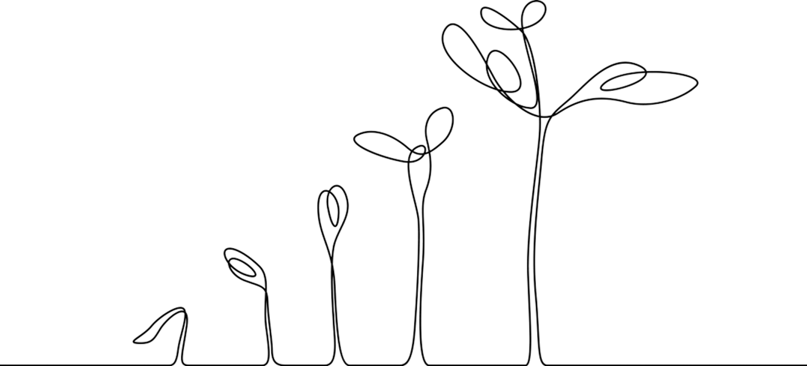 A continuous line drawing of a plant growing from a small sprout into a leafy stem