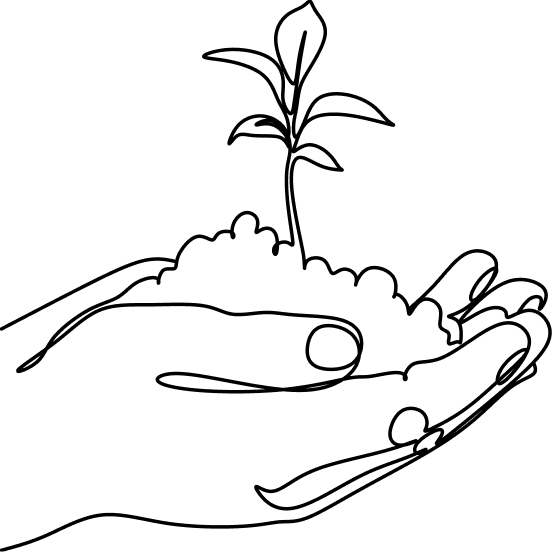 Line drawing of hands holding soil and a growing plant