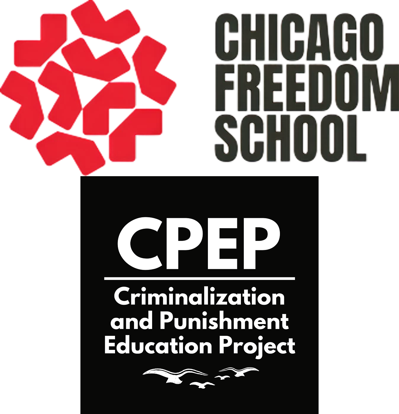 Chicago Freedom School
